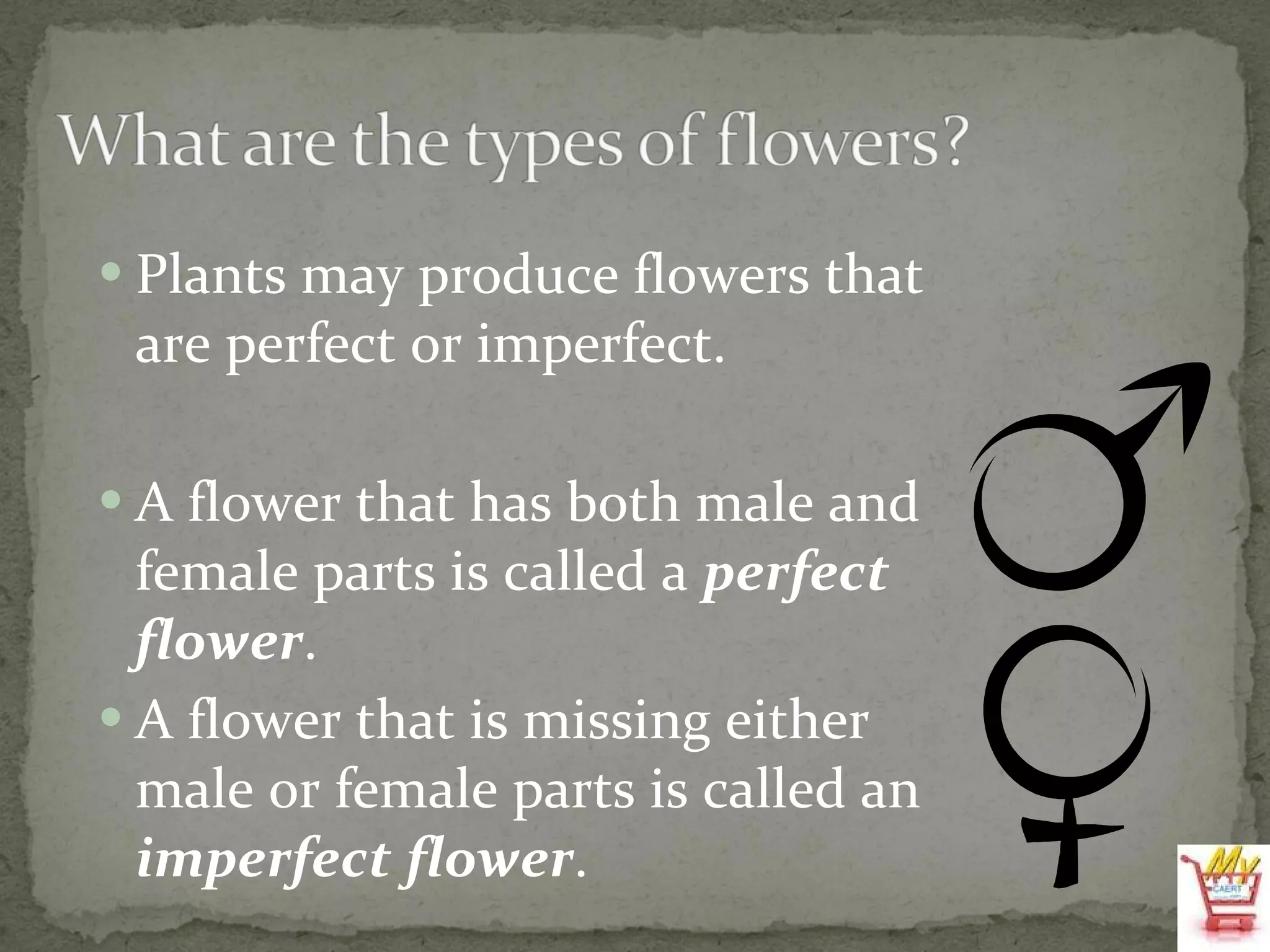 Plants may produce flowers that are perfect or imperfect. A flower that has both male and female parts is called a  perfect flower . A flower that is missing either male or female parts is called an  imperfect   flower . 