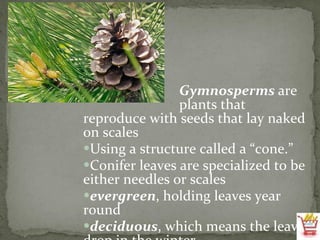 Gymnosperms  are  plants that reproduce with seeds that lay naked on scales Using a structure called a “cone.”  Conifer leaves are specialized to be either needles or scales evergreen , holding leaves year round deciduous , which means the leaves drop in the winter 