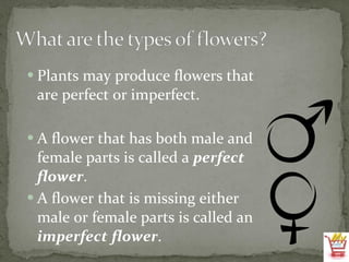 Plants may produce flowers that are perfect or imperfect. A flower that has both male and female parts is called a  perfect flower . A flower that is missing either male or female parts is called an  imperfect   flower . 