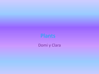 Plants
Domi y Clara
 