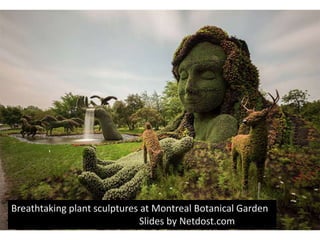 Breathtaking plant sculptures at Montreal Botanical Garden
Slides by Netdost.com
 
