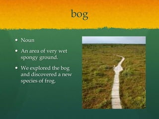 bog
 Noun
 An area of very wet
spongy ground.
 We explored the bog
and discovered a new
species of frog.

 