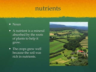 nutrients
 Noun
 A nutrient is a mineral
absorbed by the roots
of plants to help it
grow.
 The crops grew well
because the soil was
rich in nutrients.

 