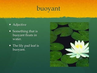 buoyant
 Adjective
 Something that is
buoyant floats in
water.
 The lily pad leaf is
buoyant.

 