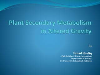 By
Fahad Shafiq
PhD Scholar / Research Associate
Department of Botany,
GC University Faisalabad, Pakistan
 