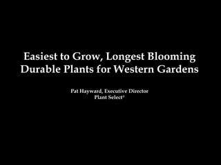 Easiest to Grow, Longest Blooming
Durable Plants for Western Gardens
         Pat Hayward, Executive Director
                 Plant Select®
 