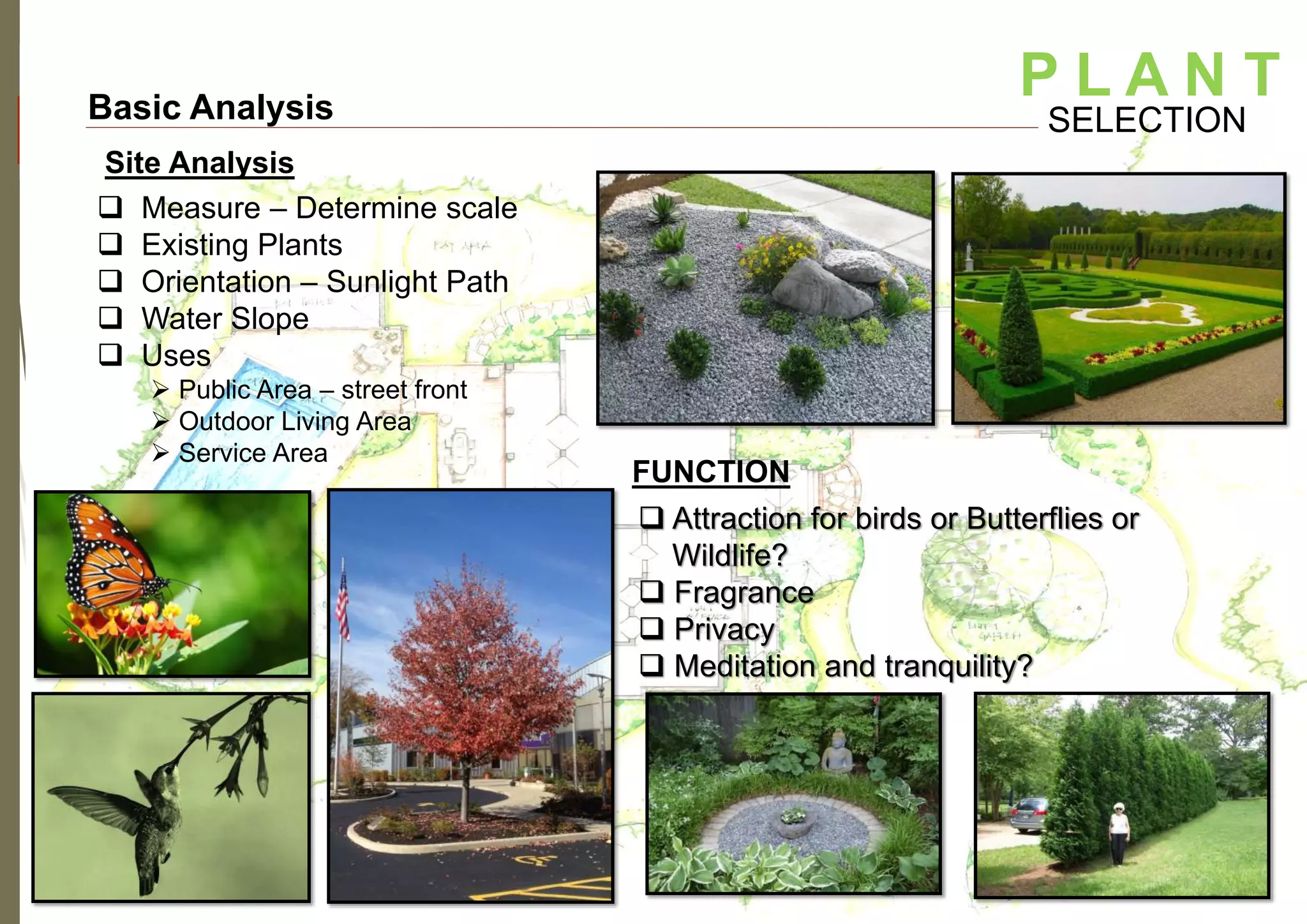 LANDSCAPE DESIGN | PPTX