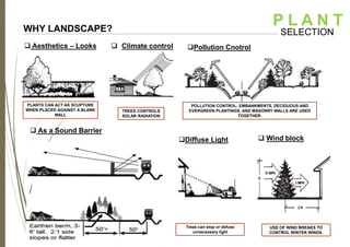 Diffuse Landscape LANDSCAPE DESIGN | PPTX
