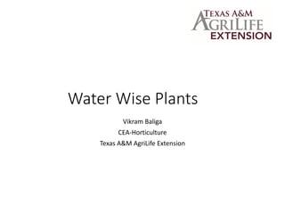 Water Wise Plants
Vikram Baliga
CEA-Horticulture
Texas A&M AgriLife Extension
 