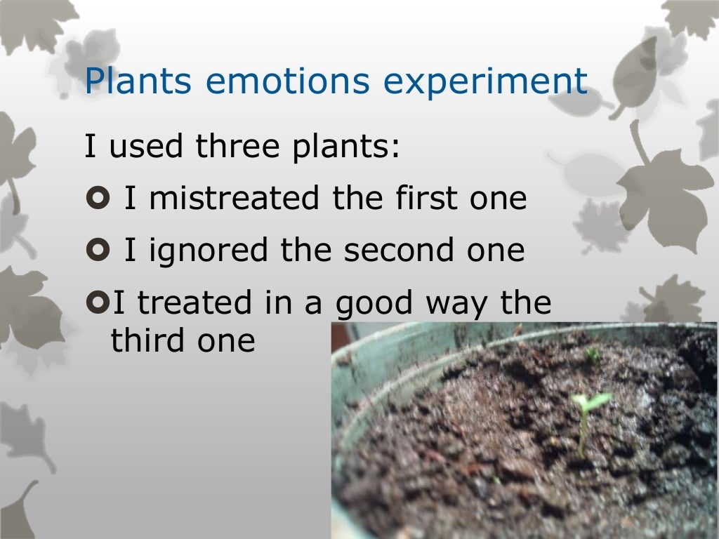 Plants emotions experiment