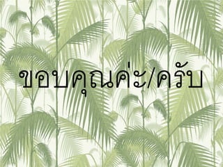 ขอบคุณค่ะ/ครับ
 