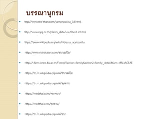 บรรณานุกรม
 http://www.the-than.com/samonpai/sa_33.html
 http://www.rspg.or.th/plants_data/use/fiber1-2.html
 https://en.m.wikipedia.org/wiki/Hibiscus_acetosella
 http://www.vichakaset.com/ชบาเมเปล/
 http://t-fern.forest.ku.ac.th/Forest/?action=family&action2=family_detail&fam=MALVACEAE
 https://th.m.wikipedia.org/wiki/ชบาเมเปล
 https://th.m.wikipedia.org/wiki/พุดตาน
 https://medthai.com/ดอกชบา/
 https://medthai.com/พุดตาน/
 https://th.m.wikipedia.org/wiki/ชบา
 