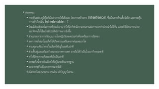 • สรรพคุณ
• กระตุ้นระบบภูมิคุ้มกันในร่างกายให้แข็งแรง โดยการสร้างสาร Interferon ซึ่งเป็นสารต้านเชื้อไวรัส และกระตุ้น
การสร้างโปรตีน Interleukin- 1
• โสมมีส่วนช่วยเพิ่มการสร้างพลังงาน ทาให้นักกีฬามีความทนทานต่อการออกกาลังหนักได้ดีขึ้น และทาให้สามารถนาพา
ออกซิเจนไปใช้อย่างมีประสิทธิภาพมากยิ่งขึ้น
• ช่วยบรรเทาอาการร้อนวูบวาบในหญิงวัยหมดประจาเดือนหรืออาการวัยทอง
• ลดการหลั่งฮอร์โมนที่ทาให้เกิดความเครียดจากต่อมหมวกไต
• ควบคุมระดับน้าตาลในเลือดให้อยู่ในระดับปกติ
• ช่วยฟื้นฟูและเสริมสร้างสมรรถภาพทางเพศ อาจถือได้ว่าเป็นไวอะกร้าธรรมชาติ
• ทาให้อัตราการเต้นของหัวใจเป็นปกติ
• ลดระดับน้าตาลในเลือดให้อยู่ในระดับมาตรฐาน
• ลดอาการข้างเคียงจากการฉายรังสี
รับผิดชอบโดย นางสาว อรนลิน อภิปัญญาโสภณ
 
