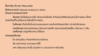 ชื่อสามัญ เล็บครุฑ (Ming aralia)
ชื่อวิทยาศาสตร์ Polyscias fruticosa (L.) Harms
ลักษณะทางพฤกษศาสตร์
เล็บครุฑ เป็นไม้พุ่มขนาดเล็ก ลักษณะต้นเป็นข้อ ลาต้นอ่อนมีสีเขียวอ่อนแกมน้าตาลอ่อน เมื่อลา
ต้นแก่เต็มที่ก็จะเปลี่ยนกลายเป็นสีน้าตาลอ่อน
ใบเล็บครุฑ เป็นใบเป็นใบประกอบแบบขนนก ขอบใบหยักย่อยละเอียด ปลายใบเรียวแหลม
ดอกเล็บครุฑ ช่อดอกแยกแขนง มีแกนกลางช่อเล็ก ช่อดอกย่อยเป็นช่อซี่ร่ม กลีบดอก 5 กลีบ
ผลเล็บครุฑ ผลรูปเกือบกลม มีเนื้อผล
สรรพคุณเล็บครุฑ
ใบ รสหอมร้อน ตาพอกแก้ปวดบวมอักเสบ
ต้น รสฝาดหอม สมานแผล แก้ไข้
ราก รสร้อนหอม ต้มดื่ม ขับปัสสาวะ ระงับประสาท แก้ปวดข้อ
 