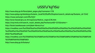 บรรณานุกรม
http://www.dnp.go.th/flora/plant_pages.php?varname=178
http://www.qsbg.org/database/botanic_book%20full%20option/search_detail.asp?botanic_id=1542
https://www.samunpri.com/เล็บครุฑ/
http://area-based.lpru.ac.th/veg/www/Native_veg/v236.htm
https://erp.hrdi.or.th/search_result_details.php?herbariumID=1215&name=-
http://book.baanlaesuan.com/plant-library/ivy/
https://medthai.com/%e0%b8%ab%e0%b8%8d%e0%b9%89%e0%b8%b2%e0%b9%80%e0%b8%81
%e0%b8%a5%e0%b9%87%e0%b8%94%e0%b8%ab%e0%b8%ad%e0%b8%a2%e0%b9%80%e0%b
8%97%e0%b8%a8/
https://medthai.com/%E0%B9%82%E0%B8%AA%E0%B8%A1%E0%B8%8B%E0%B8%B2%E0%B8%99
%E0%B8%8A%E0%B8%B5/
http://www.dnp.go.th/botany/
 