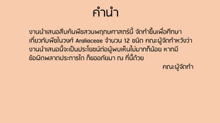 คานา
งานนาเสนอสืบค้นพืชสวนพฤกษศาสตร์นี้ จัดทาขึ้นเพื่อศึกษา
เกี่ยวกับพืชในวงศ์ Araliaceae จานวน 12 ชนิด คณะผู้จัดทาหวังว่า
งานนาเสนอนี้จะเป็นประโยชน์ต่อผู้พบเห็นไม่มากก็น้อย หากมี
ข้อผิดพลาดประการใด ก็ขออภัยมา ณ ที่นี้ด้วย
คณะผู้จัดทา
 