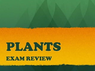 PLANTS
EXAM REVIEW

 