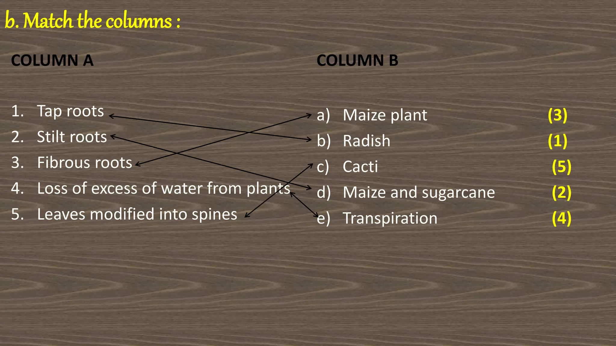 b. Match the columns :
COLUMN A
1. Tap roots
2. Stilt roots
3. Fibrous roots
4. Loss of excess of water from plants
5. Leaves modified into spines
COLUMN B
a) Maize plant (3)
b) Radish (1)
c) Cacti (5)
d) Maize and sugarcane (2)
e) Transpiration (4)
 