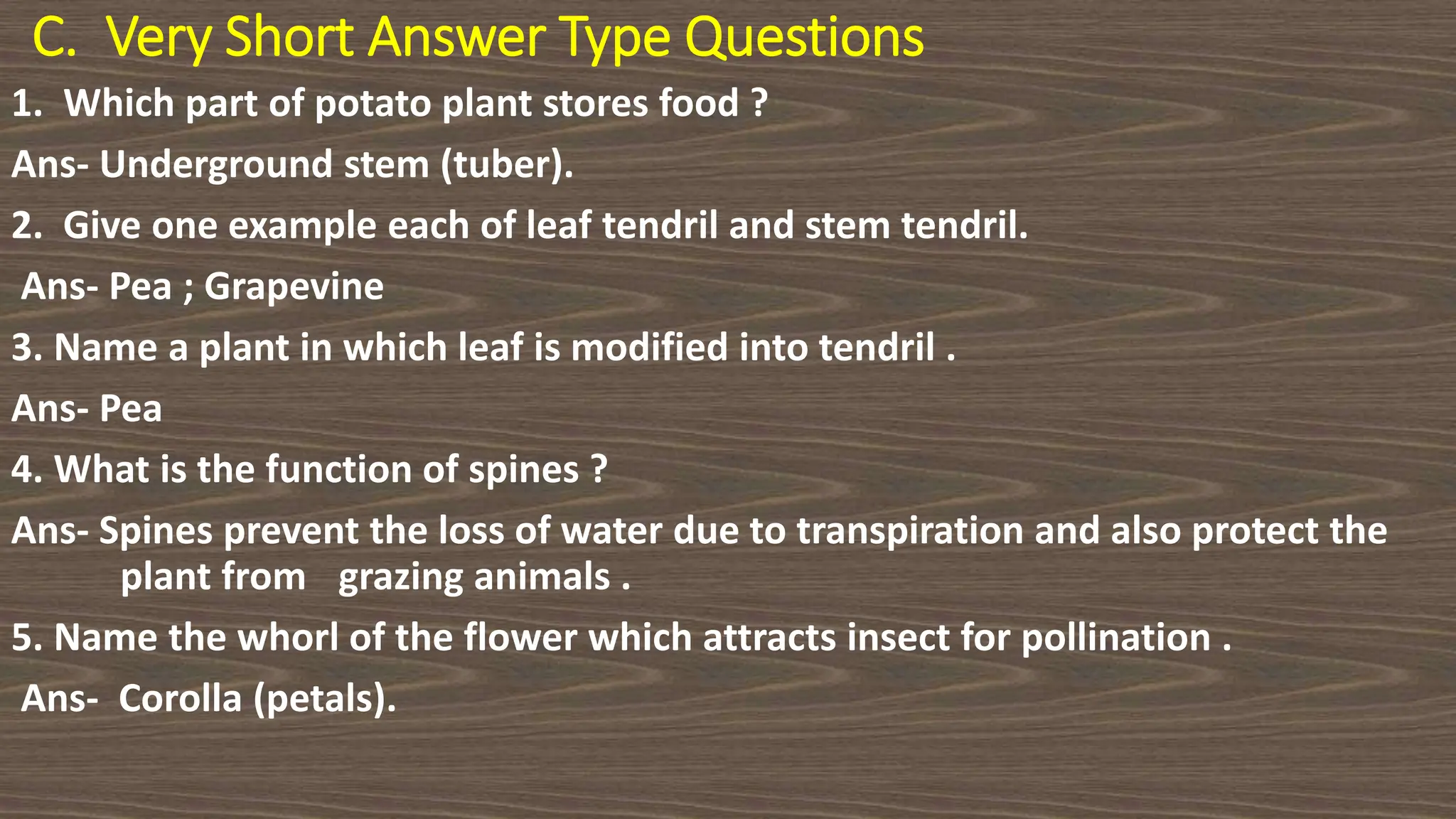 C. Very Short Answer Type Questions
1. Which part of potato plant stores food ?
Ans- Underground stem (tuber).
2. Give one example each of leaf tendril and stem tendril.
Ans- Pea ; Grapevine
3. Name a plant in which leaf is modified into tendril .
Ans- Pea
4. What is the function of spines ?
Ans- Spines prevent the loss of water due to transpiration and also protect the
plant from grazing animals .
5. Name the whorl of the flower which attracts insect for pollination .
Ans- Corolla (petals).
 