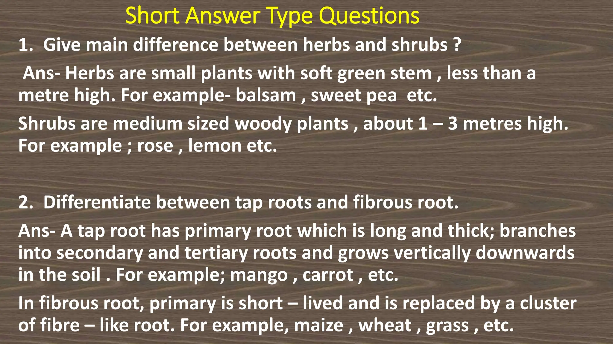 Short Answer Type Questions
1. Give main difference between herbs and shrubs ?
Ans- Herbs are small plants with soft green stem , less than a
metre high. For example- balsam , sweet pea etc.
Shrubs are medium sized woody plants , about 1 – 3 metres high.
For example ; rose , lemon etc.
2. Differentiate between tap roots and fibrous root.
Ans- A tap root has primary root which is long and thick; branches
into secondary and tertiary roots and grows vertically downwards
in the soil . For example; mango , carrot , etc.
In fibrous root, primary is short – lived and is replaced by a cluster
of fibre – like root. For example, maize , wheat , grass , etc.
 