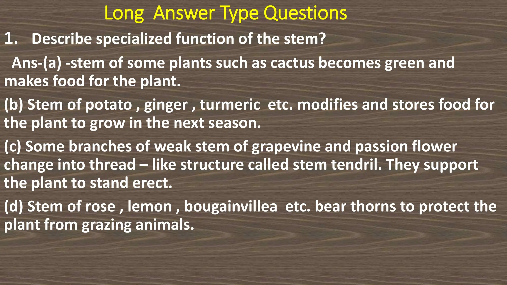 Long Answer Type Questions
1. Describe specialized function of the stem?
Ans-(a) -stem of some plants such as cactus becomes green and
makes food for the plant.
(b) Stem of potato , ginger , turmeric etc. modifies and stores food for
the plant to grow in the next season.
(c) Some branches of weak stem of grapevine and passion flower
change into thread – like structure called stem tendril. They support
the plant to stand erect.
(d) Stem of rose , lemon , bougainvillea etc. bear thorns to protect the
plant from grazing animals.
 