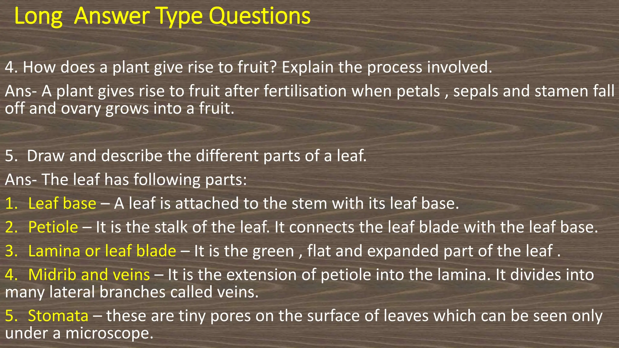 Long Answer Type Questions
4. How does a plant give rise to fruit? Explain the process involved.
Ans- A plant gives rise to fruit after fertilisation when petals , sepals and stamen fall
off and ovary grows into a fruit.
5. Draw and describe the different parts of a leaf.
Ans- The leaf has following parts:
1. Leaf base – A leaf is attached to the stem with its leaf base.
2. Petiole – It is the stalk of the leaf. It connects the leaf blade with the leaf base.
3. Lamina or leaf blade – It is the green , flat and expanded part of the leaf .
4. Midrib and veins – It is the extension of petiole into the lamina. It divides into
many lateral branches called veins.
5. Stomata – these are tiny pores on the surface of leaves which can be seen only
under a microscope.
 