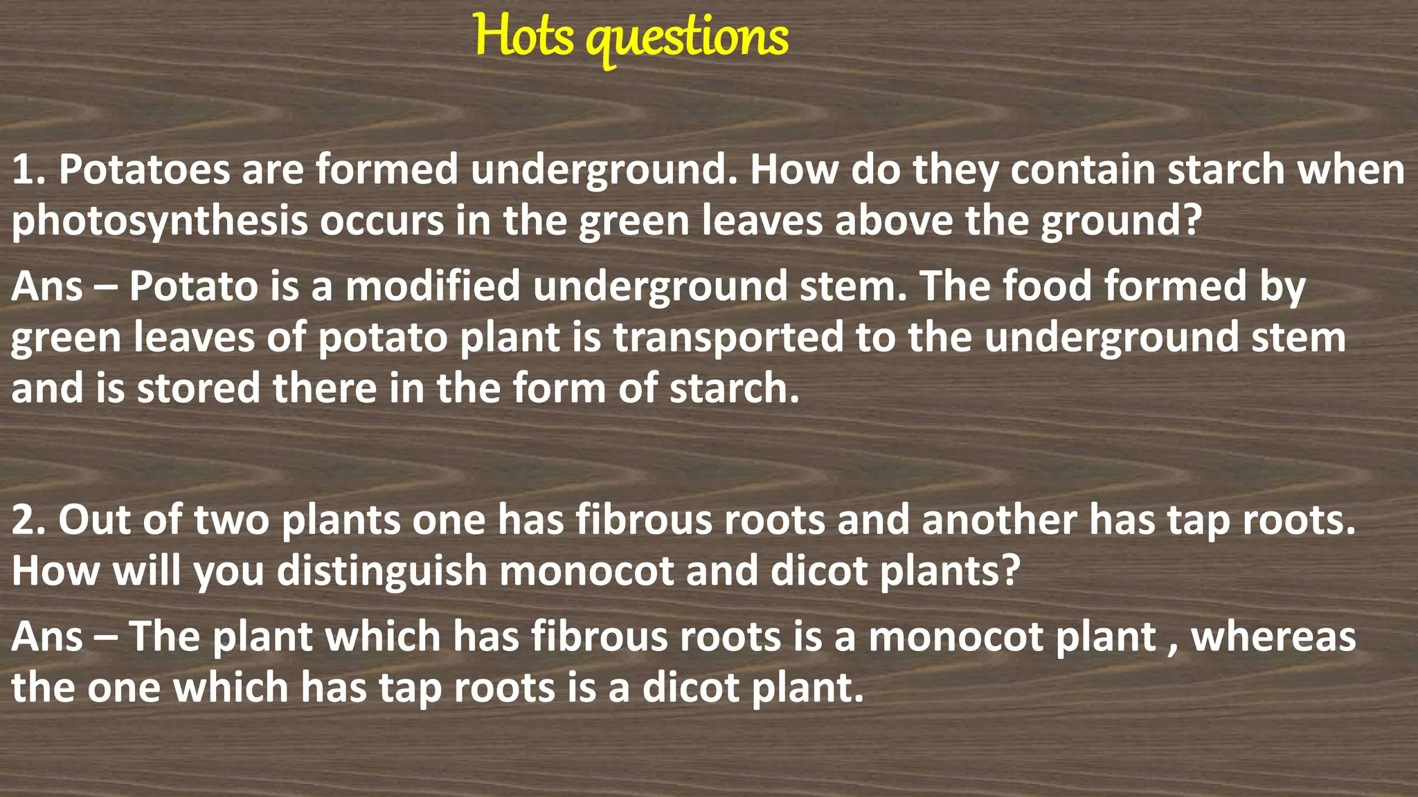 Hots questions
1. Potatoes are formed underground. How do they contain starch when
photosynthesis occurs in the green leaves above the ground?
Ans – Potato is a modified underground stem. The food formed by
green leaves of potato plant is transported to the underground stem
and is stored there in the form of starch.
2. Out of two plants one has fibrous roots and another has tap roots.
How will you distinguish monocot and dicot plants?
Ans – The plant which has fibrous roots is a monocot plant , whereas
the one which has tap roots is a dicot plant.
 