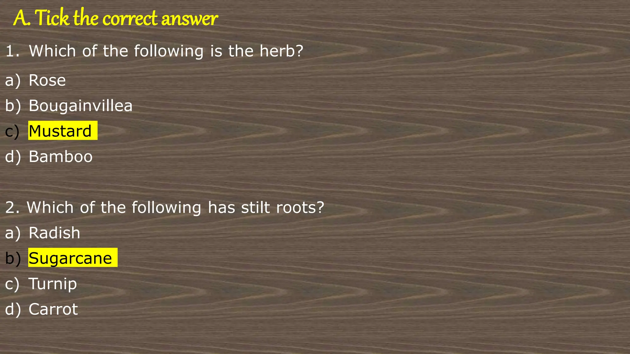A. Tick the correct answer
1. Which of the following is the herb?
a) Rose
b) Bougainvillea
c) Mustard
d) Bamboo
2. Which of the following has stilt roots?
a) Radish
b) Sugarcane
c) Turnip
d) Carrot
 