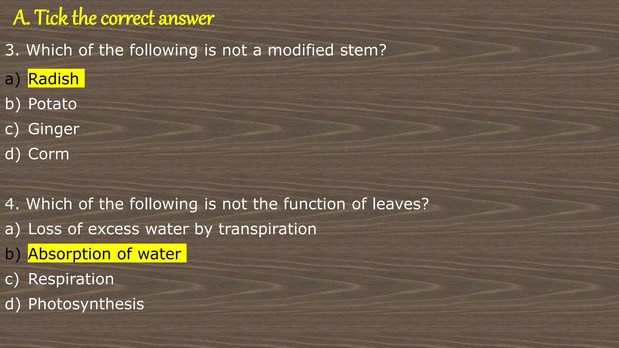 A. Tick the correct answer
3. Which of the following is not a modified stem?
a) Radish
b) Potato
c) Ginger
d) Corm
4. Which of the following is not the function of leaves?
a) Loss of excess water by transpiration
b) Absorption of water
c) Respiration
d) Photosynthesis
 