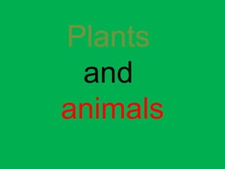 Plants
and
animals
 