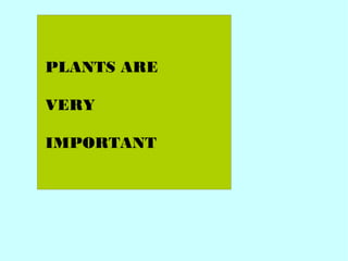 PLANTS ARE 
VERY 
IMPORTANT 
 