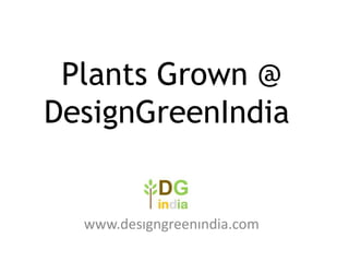 Plants Grown @
DesignGreenIndia

www.designgreenindia.com

 