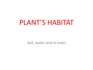 PLANT’S HABITAT

  Soil, water and in trees
 