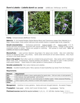 Dunn’s Lobelia – Lobelia dunnii var. serrata (lo-BEEL-ee-a DUN-ee-eye ser-AY-ta)
Family: Campanulaceae (Bellflower Family)
Native to: S. CA Coastal Ranges (Santa Monica Mtns) and Transverse ranges (San Gabriels) to n.
Baja; mossy seeps, moist canyon wall and rocky stream banks in coastal sage scrub, chaparral.
Growth characteristics: herbaceous perennial mature height: 1 ft. mature width: 1-3+ ft.
Winter-dormant herbaceous perennial with narrow leaves on slender stems. Foliage is gray-green,
evergreen except in winter. Stems are upright or reclining. Will spread in moist soils. Note: all
Lobelias are toxic to some degree.
Blooms/fruits: Late summer bloomer (Aug-Sept.) for about one month. One inch violet-blue
flowers on flowering stalk– very showy. Some what reminiscent of non-native Salvias. Very much
at home in the flower garden.
Uses in the garden: Most often used as a shade-loving ground cover. Also works well in traditional
flower beds, pots, windowboxes, hanging baskets and planters. Nice spot of color in late summer;
looks great massed. Good choice for water gardens or damp places in the garden.
Sensible substitute for: Non-native Salvias and Lobelias.
Attracts: Excellent butterfly plant. Many species of adult butterflies sip nectar from the flowers.
Requirements:
Element Requirement
Sun Light/partial shade is best, particularly for good color. Full sun only in cool gardens.
Soil Any texture, but well-drained. pH 6.0-8.0.
Water Likes moist soil (Zone 3); can even grow in shallow water. Takes seasonal flooding.
Fertilizer Likes organic soils; amend or mulch with organic mulches
Other
Management: Carefree in many gardens. Hardy and even drought tolerant. Re-seeds if happy.
Propagation: from seed: winter; don’t cover & keep moist by divisions: ?spring
Plant/seed sources (see list for source numbers): 6, 8, 11, 13 UCR Bot. Garden Sales 2/16/11
© Project SOUND
 