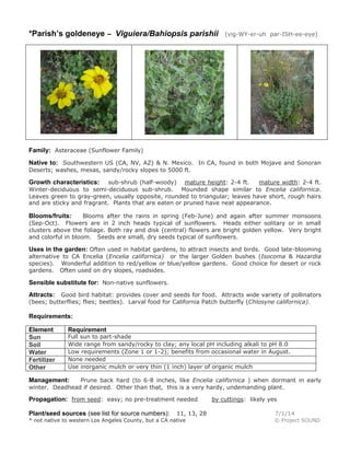 *Parish’s goldeneye – Viguiera/Bahiopsis parishii (vig-WY-er-uh par-ISH-ee-eye)
Family: Asteraceae (Sunflower Family)
Native to: Southwestern US (CA, NV, AZ) & N. Mexico. In CA, found in both Mojave and Sonoran
Deserts; washes, mesas, sandy/rocky slopes to 5000 ft.
Growth characteristics: sub-shrub (half-woody) mature height: 2-4 ft. mature width: 2-4 ft.
Winter-deciduous to semi-deciduous sub-shrub. Mounded shape similar to Encelia californica.
Leaves green to gray-green, usually opposite, rounded to triangular; leaves have short, rough hairs
and are sticky and fragrant. Plants that are eaten or pruned have neat appearance.
Blooms/fruits: Blooms after the rains in spring (Feb-June) and again after summer monsoons
(Sep-Oct). Flowers are in 2 inch heads typical of sunflowers. Heads either solitary or in small
clusters above the foliage. Both ray and disk (central) flowers are bright golden yellow. Very bright
and colorful in bloom. Seeds are small, dry seeds typical of sunflowers.
Uses in the garden: Often used in habitat gardens, to attract insects and birds. Good late-blooming
alternative to CA Encelia (Encelia californica) or the larger Golden bushes (Isocoma & Hazardia
species). Wonderful addition to red/yellow or blue/yellow gardens. Good choice for desert or rock
gardens. Often used on dry slopes, roadsides.
Sensible substitute for: Non-native sunflowers.
Attracts: Good bird habitat: provides cover and seeds for food. Attracts wide variety of pollinators
(bees; butterflies; flies; beetles). Larval food for California Patch butterfly (Chlosyne californica).
Requirements:
Element Requirement
Sun Full sun to part-shade
Soil Wide range from sandy/rocky to clay; any local pH including alkali to pH 8.0
Water Low requirements (Zone 1 or 1-2); benefits from occasional water in August.
Fertilizer None needed
Other Use inorganic mulch or very thin (1 inch) layer of organic mulch
Management: Prune back hard (to 6-8 inches, like Encelia californica ) when dormant in early
winter. Deadhead if desired. Other than that, this is a very hardy, undemanding plant.
Propagation: from seed: easy; no pre-treatment needed by cuttings: likely yes
Plant/seed sources (see list for source numbers): 11, 13, 28 7/1/14
* not native to western Los Angeles County, but a CA native © Project SOUND
 