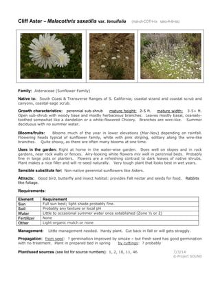 Cliff Aster – Malacothrix saxatilis var. tenuifolia (mal-uh-COTH-rix saks-A-til-iss)
Family: Asteraceae (Sunflower Family)
Native to: South Coast & Transverse Ranges of S. California; coastal strand and coastal scrub and
canyons, coastal-sage scrub.
Growth characteristics: perennial sub-shrub mature height: 2-5 ft. mature width: 3-5+ ft.
Open sub-shrub with woody base and mostly herbaceous branches. Leaves mostly basal, coarsely-
toothed somewhat like a dandelion or a white-flowered Chicory. Branches are wire-like. Summer
deciduous with no summer water.
Blooms/fruits: Blooms much of the year in lower elevations (Mar-Nov) depending on rainfall.
Flowering heads typical of sunflower family, white with pink striping, solitary along the wire-like
branches. Quite showy, as there are often many blooms at one time.
Uses in the garden: Right at home in the water-wise garden. Does well on slopes and in rock
gardens, near rock walls or fences. Airy-looking white flowers mix well in perennial beds. Probably
fine in large pots or planters. Flowers are a refreshing contrast to dark leaves of native shrubs.
Plant makes a nice filler and will re-seed naturally. Very tough plant that looks best in wet years.
Sensible substitute for: Non-native perennial sunflowers like Asters.
Attracts: Good bird, butterfly and insect habitat: provides Fall nectar and seeds for food. Rabbits
like foliage.
Requirements:
Element Requirement
Sun Full sun best; light shade probably fine.
Soil Probably any texture or local pH
Water Little to occasional summer water once established (Zone ½ or 2)
Fertilizer None
Other Light organic mulch or none
Management: Little management needed. Hardy plant. Cut back in fall or will gets straggly.
Propagation: from seed: ? germination improved by smoke – but fresh seed has good germination
with no treatment. Plant in prepared bed in spring by cuttings: ? probably
Plant/seed sources (see list for source numbers): 1, 2, 10, 11, 46 7/3/14
© Project SOUND
 