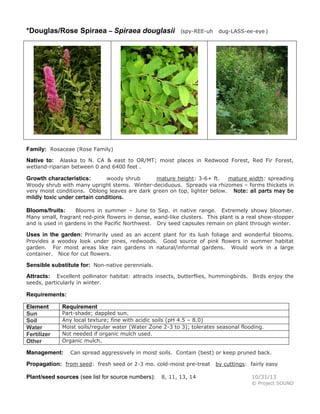*Douglas/Rose Spiraea – Spiraea douglasii

(spy-REE-uh dug-LASS-ee-eye )

Family: Rosaceae (Rose Family)
Alaska to N. CA & east to OR/MT; moist places in Redwood Forest, Red Fir Forest,
wetland-riparian between 0 and 6400 feet .

Native to:

woody shrub
mature height: 3-6+ ft.
mature width: spreading
Woody shrub with many upright stems. Winter-deciduous. Spreads via rhizomes – forms thickets in
very moist conditions. Oblong leaves are dark green on top, lighter below. Note: all parts may be
mildly toxic under certain conditions.

Growth characteristics:

Blooms in summer – June to Sep. in native range. Extremely showy bloomer.
Many small, fragrant red-pink flowers in dense, wand-like clusters. This plant is a real show-stopper
and is used in gardens in the Pacific Northwest. Dry seed capsules remain on plant through winter.

Blooms/fruits:

Uses in the garden: Primarily used as an accent plant for its lush foliage and wonderful blooms.
Provides a woodsy look under pines, redwoods. Good source of pink flowers in summer habitat
garden. For moist areas like rain gardens in natural/informal gardens. Would work in a large
container. Nice for cut flowers.

Sensible substitute for: Non-native perennials.
Excellent pollinator habitat: attracts insects, butterflies, hummingbirds. Birds enjoy the
seeds, particularly in winter.

Attracts:

Requirements:
Element
Sun
Soil
Water
Fertilizer
Other

Requirement

Part-shade; dappled sun.
Any local texture; fine with acidic soils (pH 4.5 – 8.0)
Moist soils/regular water (Water Zone 2-3 to 3); tolerates seasonal flooding.
Not needed if organic mulch used.
Organic mulch.

Management:

Can spread aggressively in moist soils. Contain (best) or keep pruned back.

Propagation: from seed: fresh seed or 2-3 mo. cold-moist pre-treat by cuttings: fairly easy
Plant/seed sources (see list for source numbers):

8, 11, 13, 14

10/31/13
© Project SOUND

 