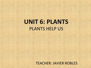 UNIT 6: PLANTS
PLANTS HELP US
TEACHER: JAVIER ROBLES