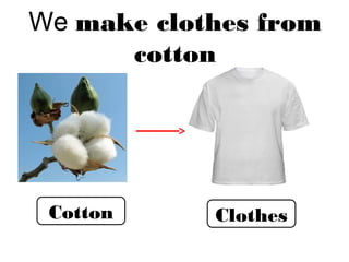 We make clothes from
cotton
Cotton Clothes
 