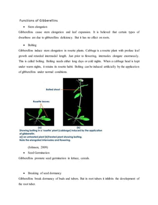 Functions of Gibberellins
 Stem elongation
Gibberellins cause stem elongation and leaf expansion. It is believed that certain types of
dwarfness are due to gibberellins deficiency. But it has no effect on roots.
 Bolting
Gibberellins induce stem elongation in rosette plants. Cabbage is a rosette plant with profuse leaf
growth and retarded intermodal length. Just prior to flowering, internodes elongate enormously.
This is called bolting. Bolting needs either long days or cold nights. When a cabbage head is kept
under warm nights, it retains its rosette habit. Bolting can be induced artificially by the application
of gibberellins under normal conditions.
(Johnson, 2009)
 Seed Germination
Gibberellins promote seed germination in lettuce, cereals.
 Breaking of seed dormancy
Gibberellins break dormancy of buds and tubers. But in root tubers it inhibits the development of
the root tuber.
 