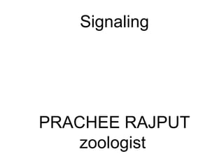 Signaling
PRACHEE RAJPUT
zoologist
 
