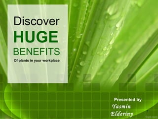 Presented by 
Yasmin 
Elderiny 
Discover 
HUGE 
BENEFITS 
Of plants in your workplace 
1 
 