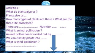 Activities :
What do plants give us ?
Plants give us….
How many types of plants are there ? What are the
three life processes?
There are …………………….. Nutrition ……. ……..
What is animal pollination ?
Animal pollination is carried out by ……………
We can classify plants into ……..
What is wind pollination ?
…………………………………..

 