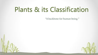 Plants & its Classification
“A backbone for human being.”
 