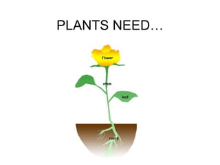PLANTS NEED…
 