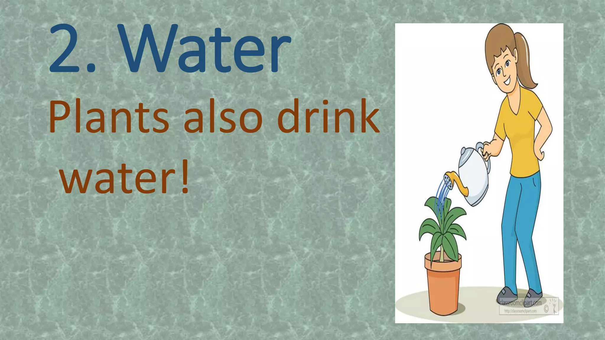 2. Water
Plants also drink
water!
 