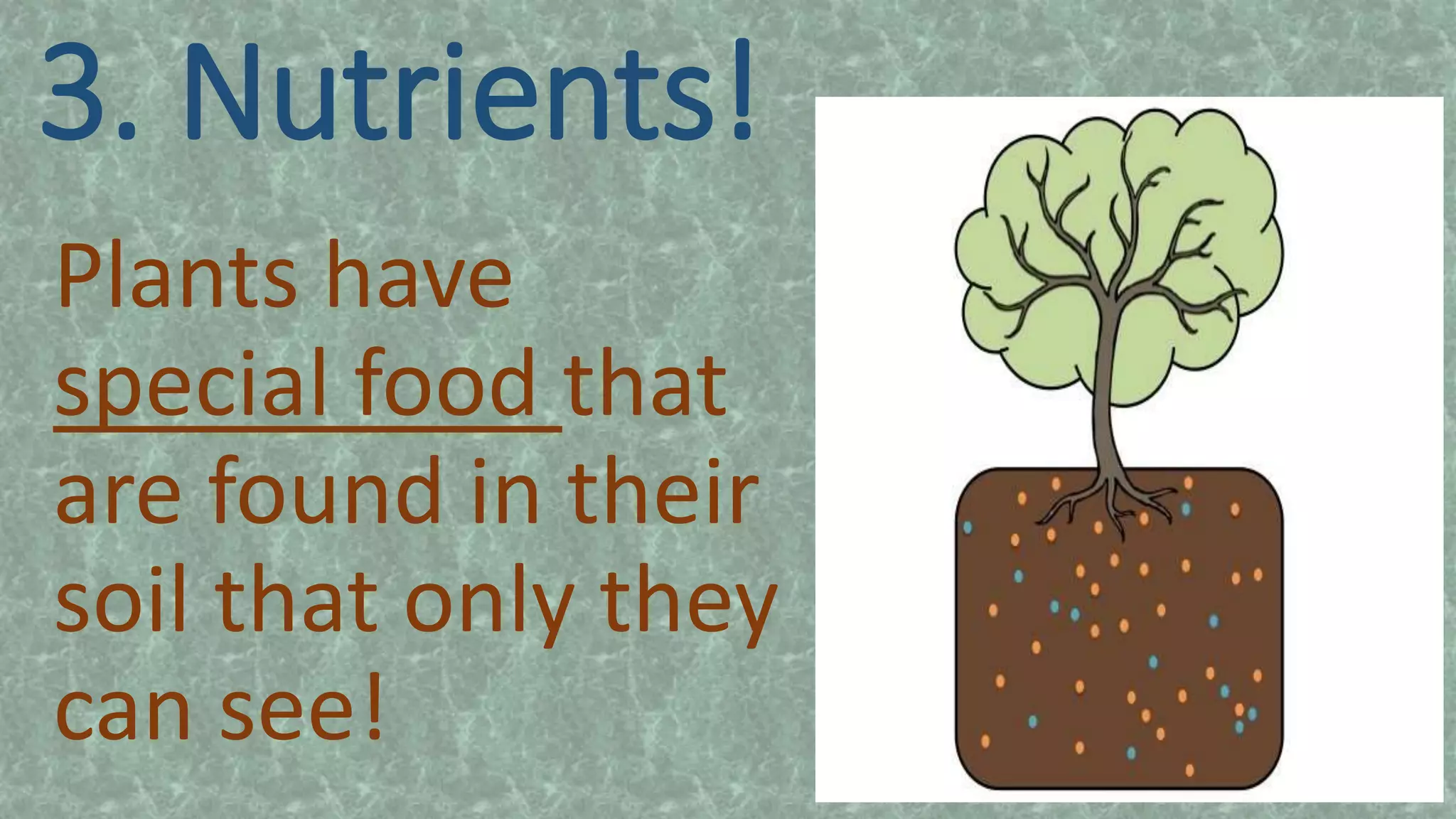 3. Nutrients!
Plants have
special food that
are found in their
soil that only they
can see!
 