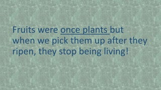 Fruits were once plants but
when we pick them up after they
ripen, they stop being living!