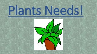 Plants Needs!
 