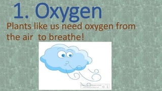 1. OxygenPlants like us need oxygen from
the air to breathe!
 